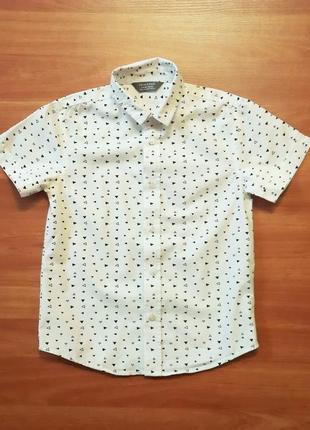 Стильная белая летняя рубашка с коротким рукавом,primark,3-4 года,1041 фото