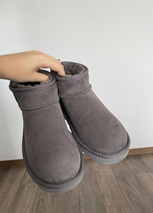 Уги з натуральної замші, ugg mini grey9 фото