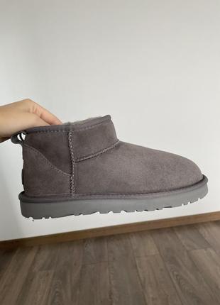 Уги з натуральної замші, ugg mini grey8 фото