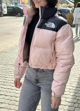 Короткий жіночий пуховик tnf 700 The North Face Face M nuptse short jacket оригінал