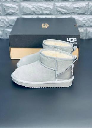 Угги женские серые ugg australia стильные женские короткие угг нежные, хит!3 фото