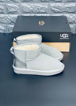 Угги женские серые ugg australia стильные женские короткие угг нежные, хит!2 фото