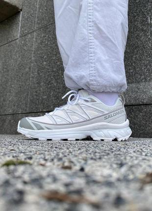 Salomon xt-6 white/silver