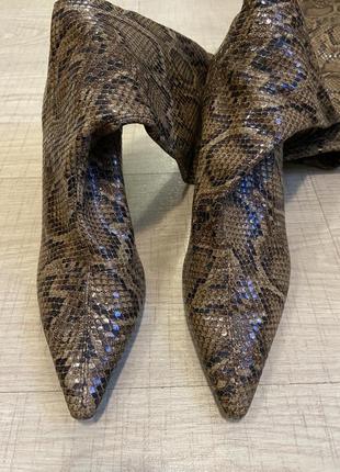 Змеиные ботфорты на стильном каблуке от mango2 фото