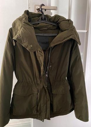 Куртка, парка, пуховик