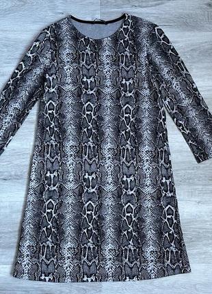 Сукня жіноча stradivarius в анімалістичний принт, в зміїний принт