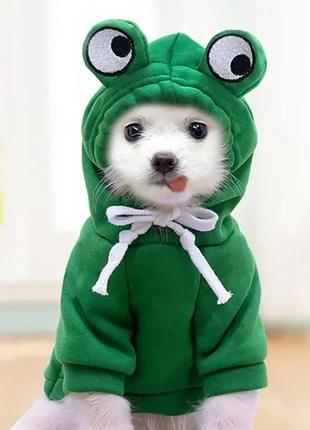 Пано "лев", объемное