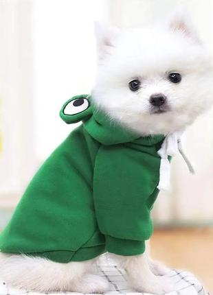 Пано "лев", объемное