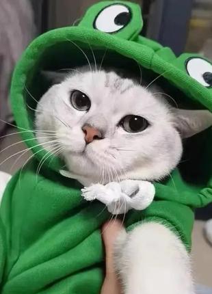 Пано "лев", объемное