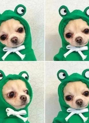 Пано "лев", объемное