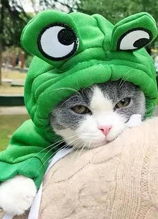 Пано "лев", объемное