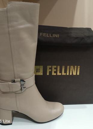 Чоботи fellini