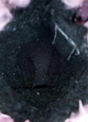 Шкіряні зимові термосапожки imac.6 фото