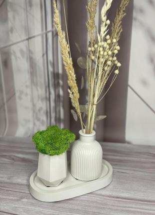 Набір ваза, кашпо з мохом та тарілочка1 фото