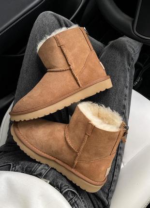 Ugg mini chestnut zip ❄️❄️❄️