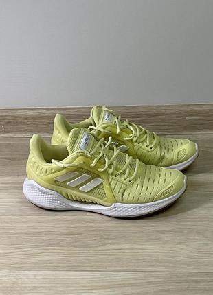 Adidas climacool6 фото