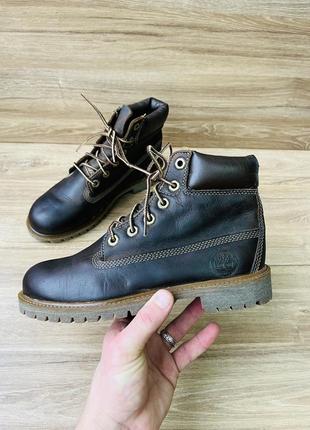 Черевики ботинки timberland