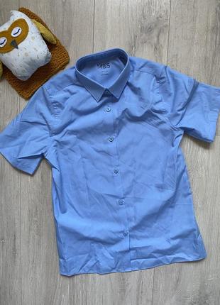 Новая рубашка голубая рубашка школа школьная одежда marks &amp; spencer мальчик