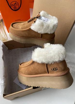 Уггі замшеві із застібкою ugg з хутром на високій платформі4 фото