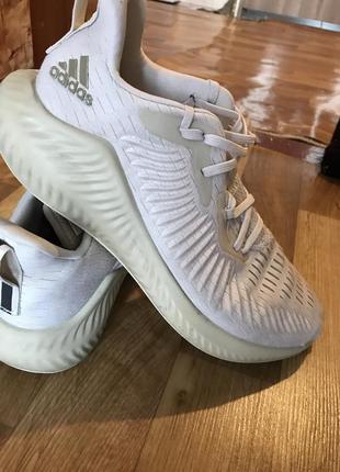 Кроссовки мужские adidas alphabounce