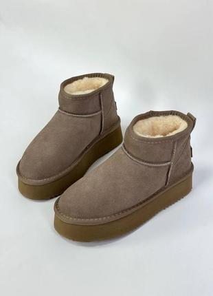 Ugg brow hs1 фото