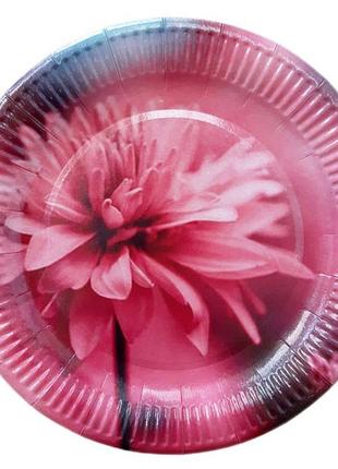 Набор одноразовых тарелок для праздника "красная хризантема"