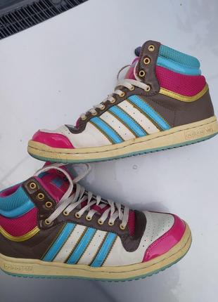 Кросівки adidas