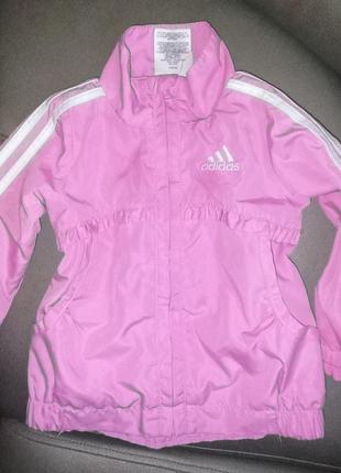 Ветровка, куртка,