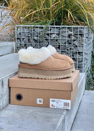 Угги замшеві на хутрі ❤❄ugg coquette platform chestnut