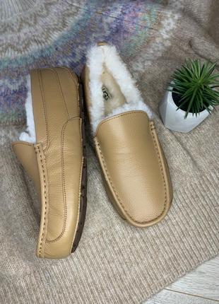 Уггі угги чоботи чоловічі мокасини ugg mens ascot sheepskin slipper  11038894 фото