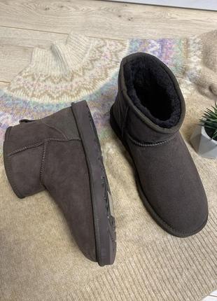 Уггі угги чоботи чоловічи мокасини ugg mens classic mini 20721 фото