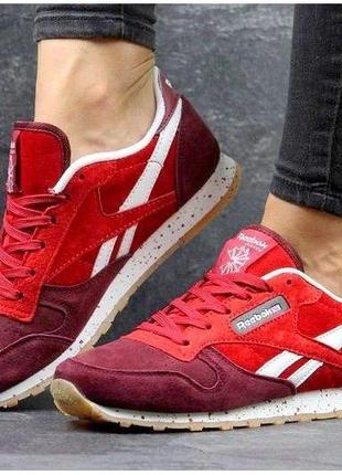 Кроссовки reebok classic женские рибок классик кожа жіночі кросівки рібок класік шкіра reebok legacy шкіряні adidas samba Easy air force 1 женские
