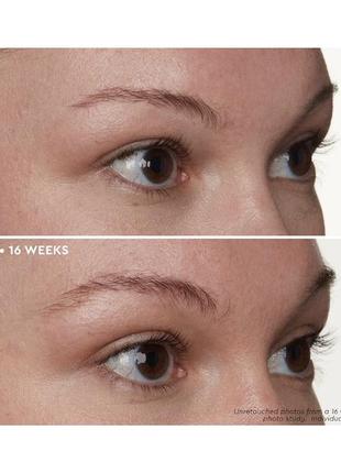 Сироватка для брів anastasia beverly hills brow genius brow serum3 фото