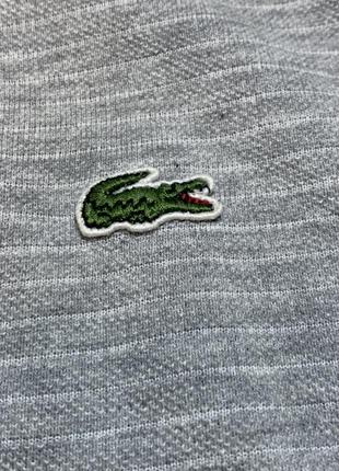 Футболка поло lacoste2 фото