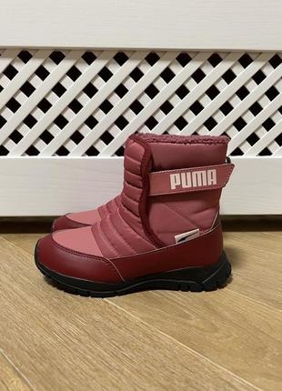 Чобітки puma