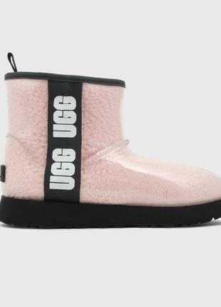 Розовые женские угги ugg3 фото