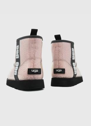 Розовые женские угги ugg1 фото