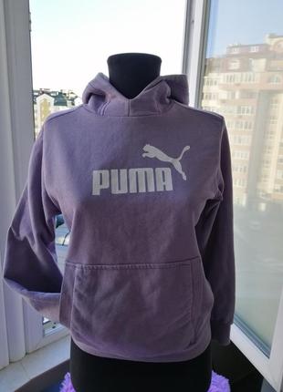 ❤️😱худи пума оригинал🐆puma🔥 батник свитшот с капюшоном с карманом худи свитшот с капюшоном батник2 фото