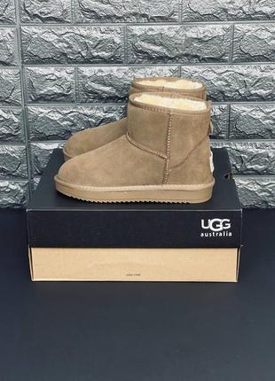 Ugg  мужская обувь,зимняя обувь8 фото