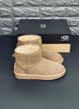 Ugg,зимняя обувб,женская зимняя обувь