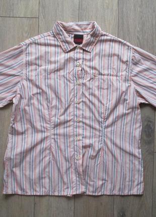 Mammut (xl) туристическая рубашка женская