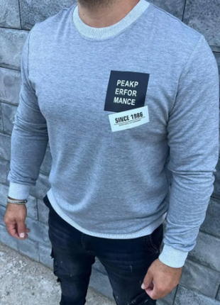 Свитшот мужской повседневный двунитка 44/46, 48/50, 52/54 rin5037-354i 2ве