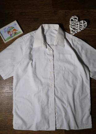 Класична біла сорочка