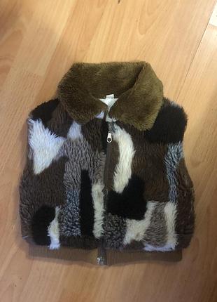 Желєтка