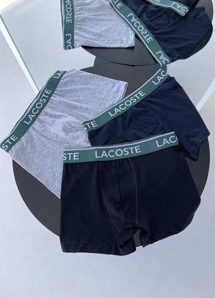 Набір трусів lacoste (3 пари)