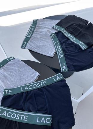 Набор трусов lacoste (3 пары)3 фото