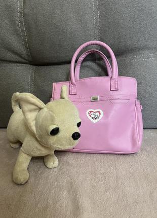 Собака в сумці