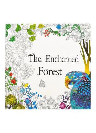 Розмальовка-антистрес " the enchanted forest" color-it gdm-015, 12 аркушів від imdi.com.ua