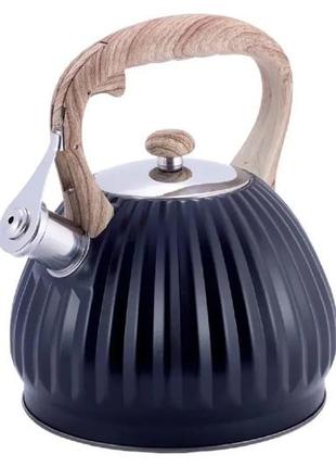 Чайник 3 л із неіржавкої сталі зі свистком і нейлоновою ручкою kamille