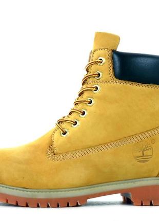 Чоботи timberland